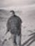 Elad Cohen