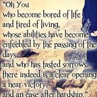 عائشة صديقة