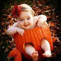 هانيء محي الدين