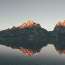 ريان الحميد