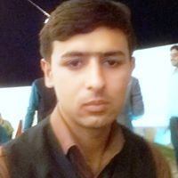 M Mohsin