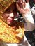Fatin F...
