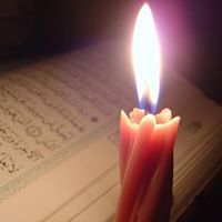 علي بن ناصر