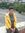Yusif H...