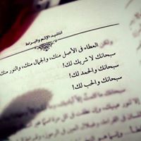 Nora Elsayed