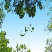 وائل العجوانى