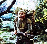 Шумско Тумарало