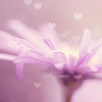 فاطمة الزهراء