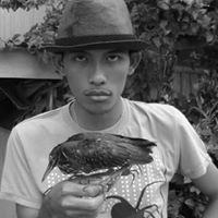 Jehan Sitjar