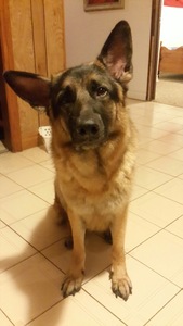 Pooja.     Kajendran