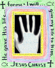 the_bookish_took