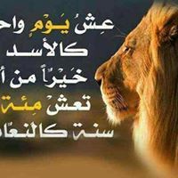 استكسرت علينا