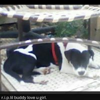 Alexis Olvera-Gallardo