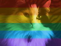 Heather Maureen Magee