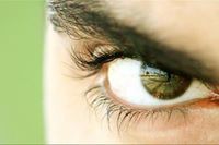 قايدي عارف طبهم