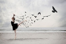 Serendipity ....... lost&found