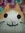 Kittypocket
