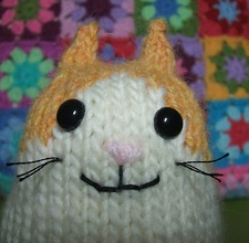 Kittypocket