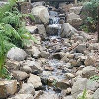 Elda Santopietro Carbone