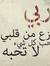 Rovan S...
