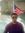 Vivek C...