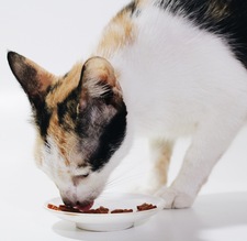 Nguyễn Bảo trân