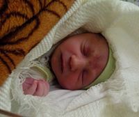 Jehad Khlouf