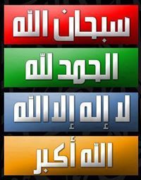 صدى المبرمج