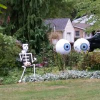 Lori Fricke Santimarino