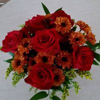 Donna Renzetti