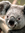 Laurie (makingbaconpancakes) | 360 comments