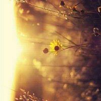 آلسفري سآرة