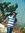 Lokesh ...