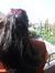 Nessa A...