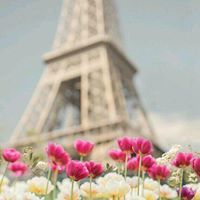 Razan Hossam