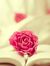 fatma s...
