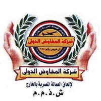 المفاوض الدولي للسفريات