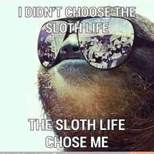 SlothReader