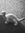 Sabrina Welch | 6 comments