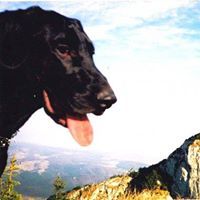 Claudia Stefan Vintu