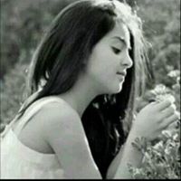 مجداويه ماركه