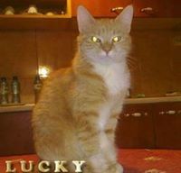 Жасмина Попова