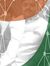 Roopesh...