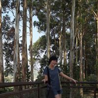Sani Lin