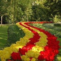 عماد ابو نور