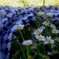 Ɓeeśàń Qáşħŏũ