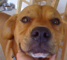 Kyle Tsutsumi-hypnar