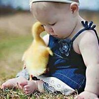 العراقي عادل