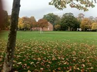 عبداللطيف سند