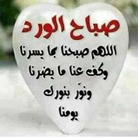 المواطن والوطن